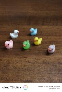 IMG_20240912_091736