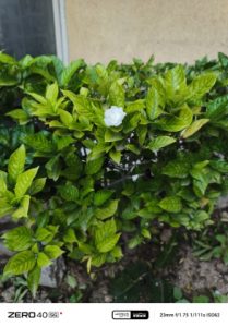 IMG_20240920_165008_127