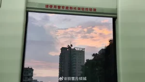 FQArGK9yQXdakBFuQ8tMKD-1200-80.jpg