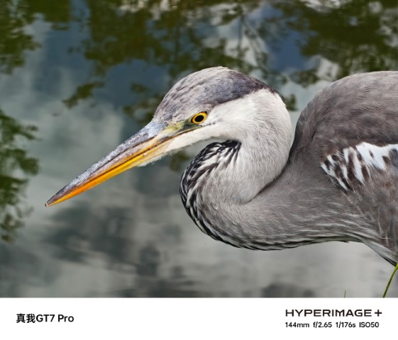 007dP9zpgy1hv6heax18hj320u1qcqv8