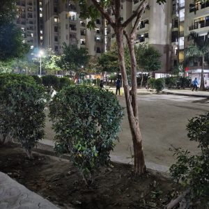 IMG_20241210_184159
