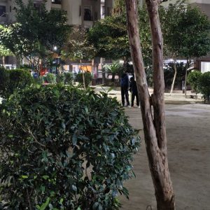 IMG_20241210_184202