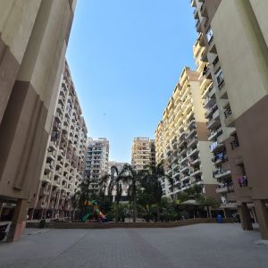 IMG_20241211_150808