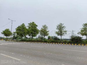 IMG_20250622_145702957