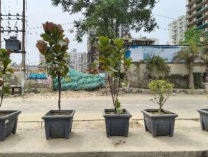 IMG_20250622_151959246