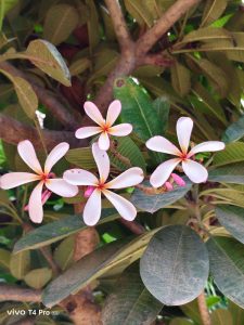 IMG_20250823_162109