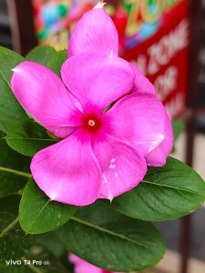 IMG_20250823_164412