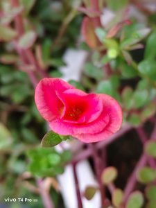 IMG_20250823_164457