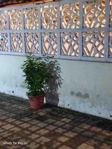 IMG_20250825_192849