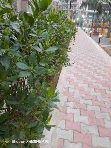 IMG_20251104_231341_944